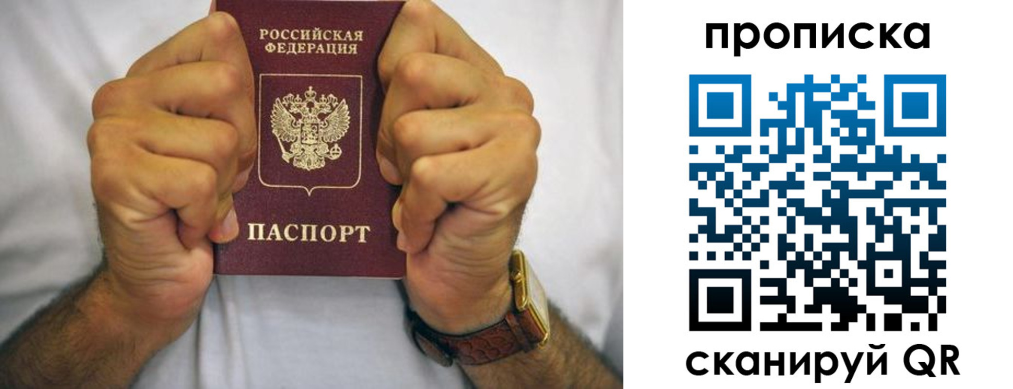 прописка в Новозыбкове