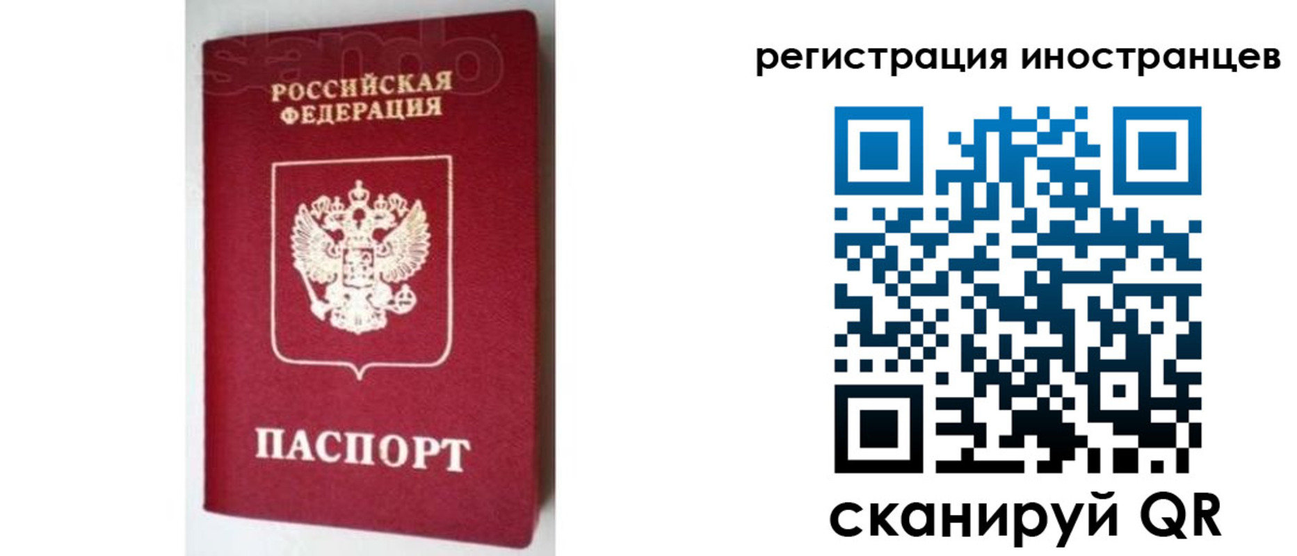 прописка для работы в Новозыбкове